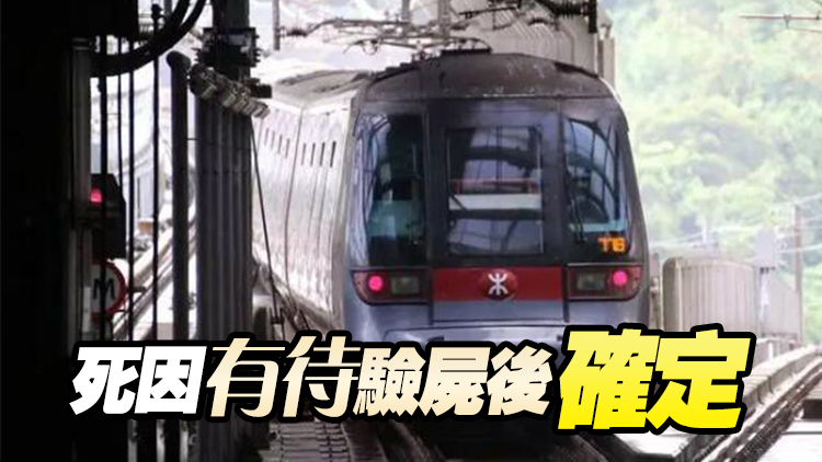 20歲男子倒臥港鐵大學站月臺 疑遭列車撞倒不治