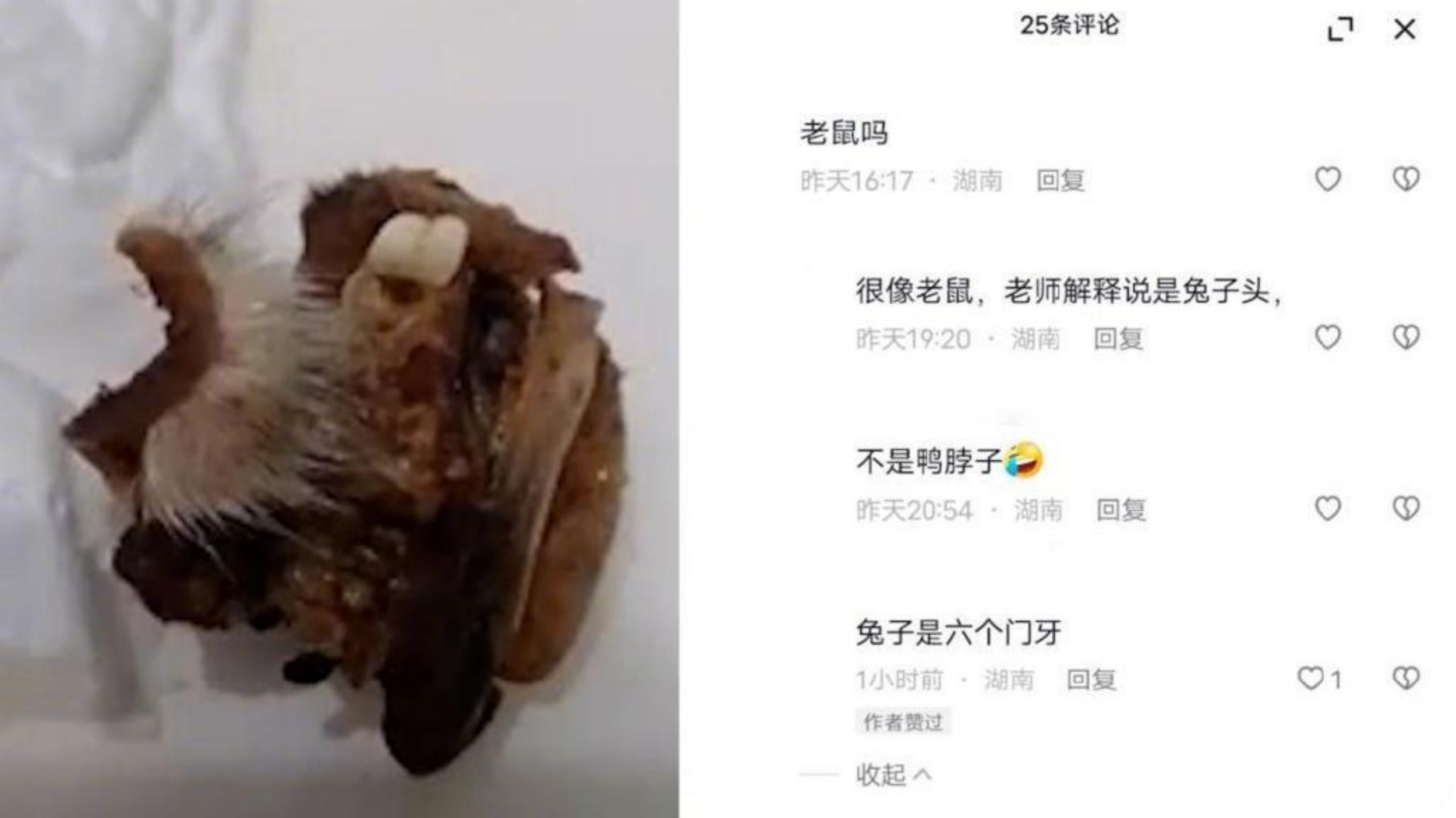 湖南懷化一小學食堂吃出「鼠頭」？當?shù)爻闪⒙?lián)合調查組開展調查